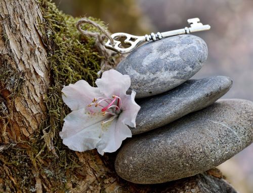 Trust in your Decision to Change